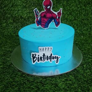 Cake 313